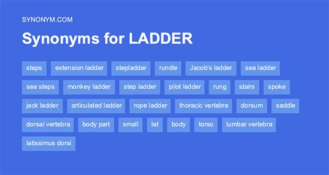 ladderized synonym|Synonyms of LADDER .